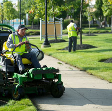 Landscaping